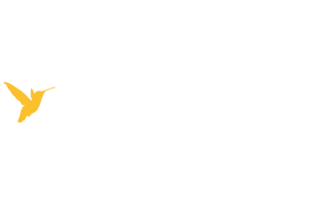 High Energy